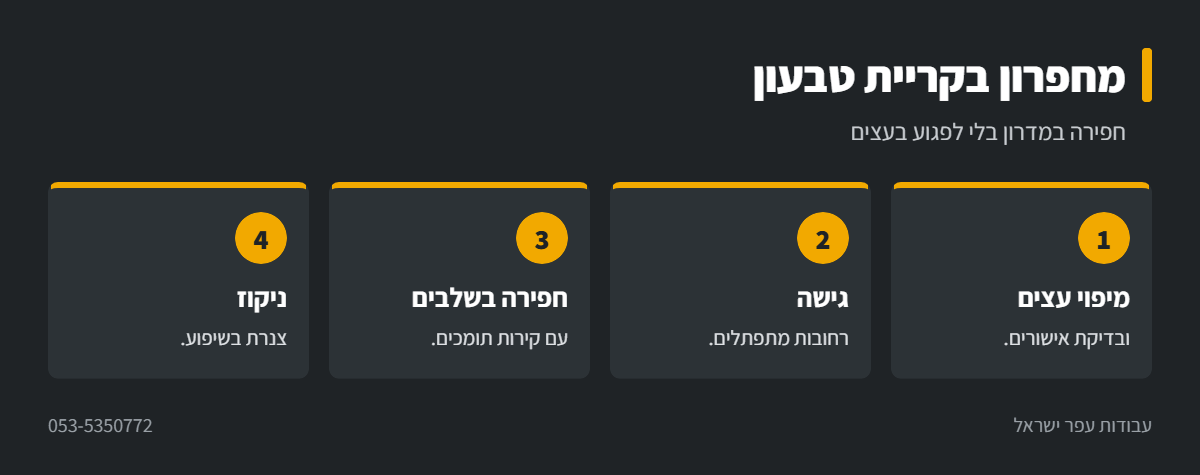 אינפוגרפיקה: עבודות מחפרון בקריית טבעון