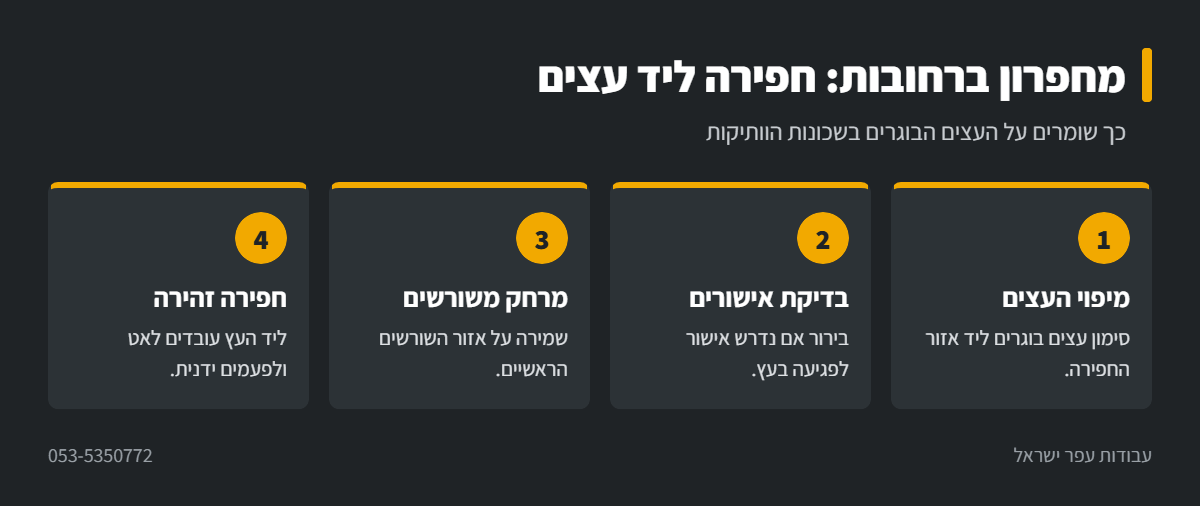אינפוגרפיקה: חפירה עם מחפרון ליד עצים ברחובות