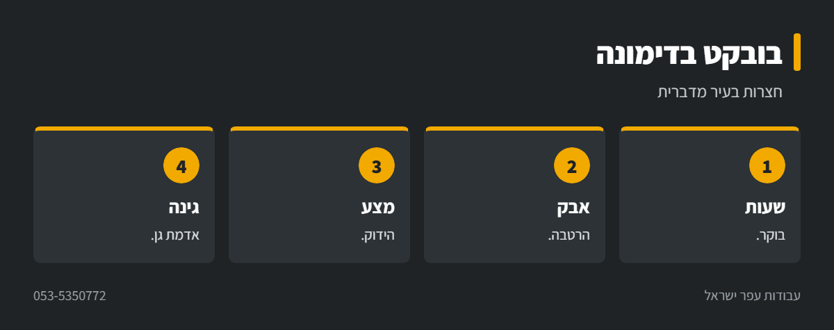 אינפוגרפיקה: עבודות בובקט בדימונה