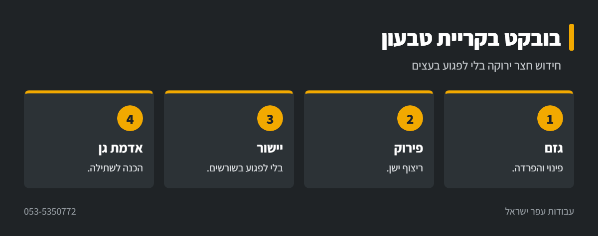 אינפוגרפיקה: חידוש חצר עם בובקט בקריית טבעון