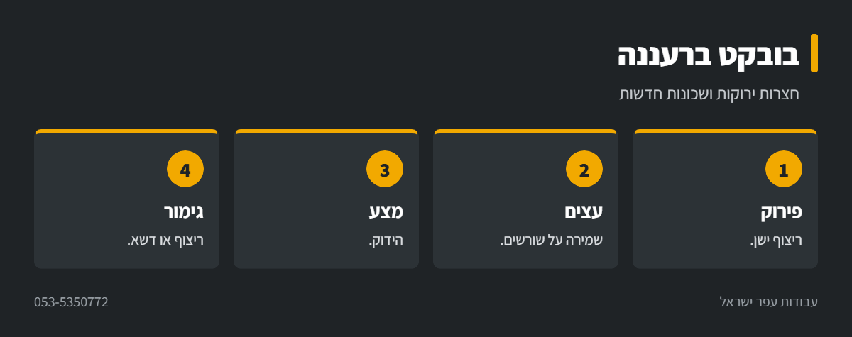 אינפוגרפיקה: עבודות בובקט ברעננה