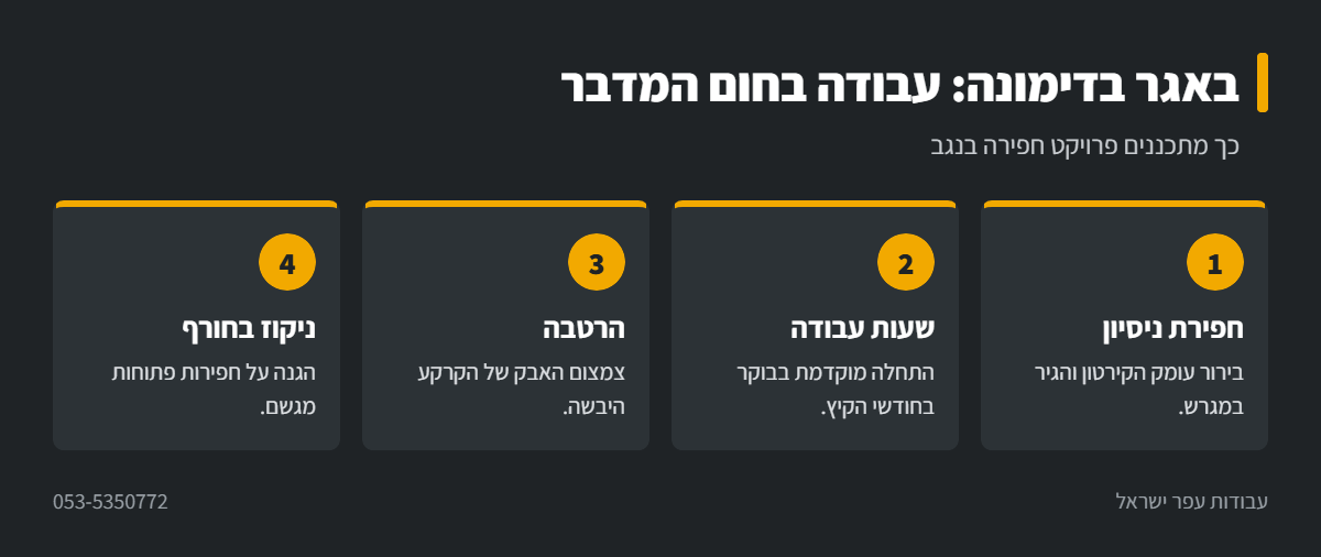 אינפוגרפיקה: תכנון פרויקט חפירה עם באגר בדימונה