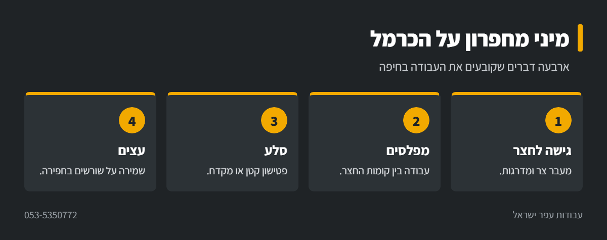 אינפוגרפיקה: עבודה עם מיני מחפרון בחיפה