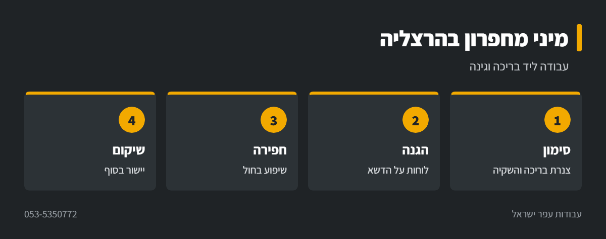 אינפוגרפיקה: מיני מחפרון בחצר עם בריכה בהרצליה