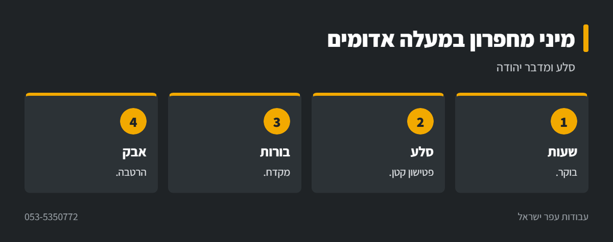 אינפוגרפיקה: עבודה עם מיני מחפרון במעלה אדומים