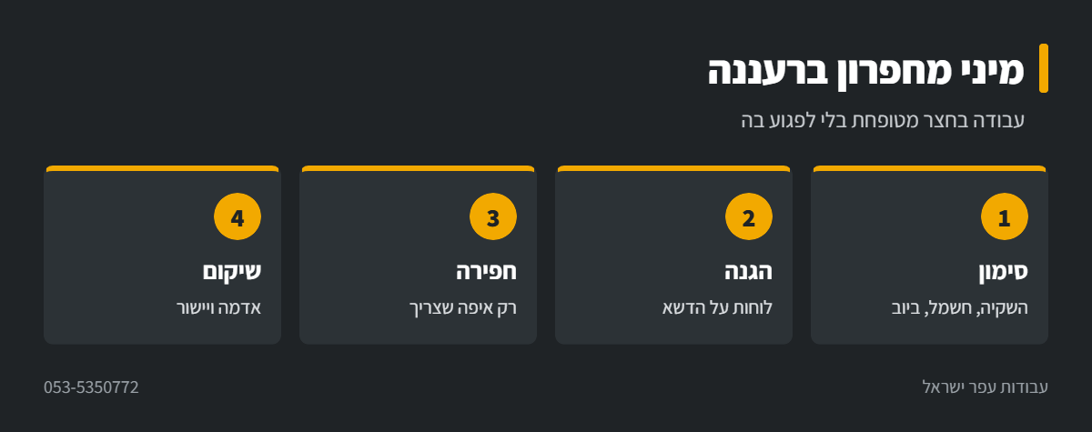 אינפוגרפיקה: מיני מחפרון בחצר מטופחת ברעננה