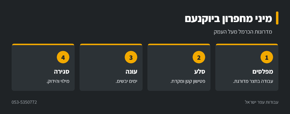 אינפוגרפיקה: עבודה עם מיני מחפרון ביוקנעם